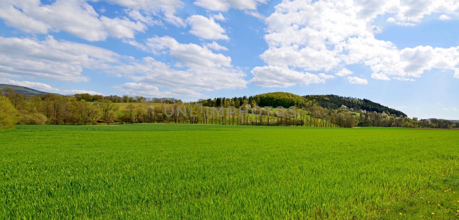Landscape at Geisa in the Rhön (Thuringia)