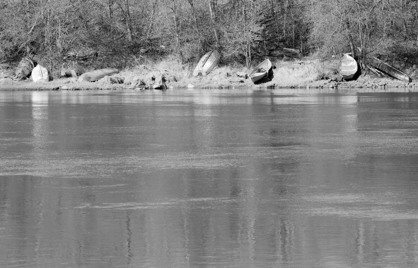 Rowboats on Shore by River with trees behind them.