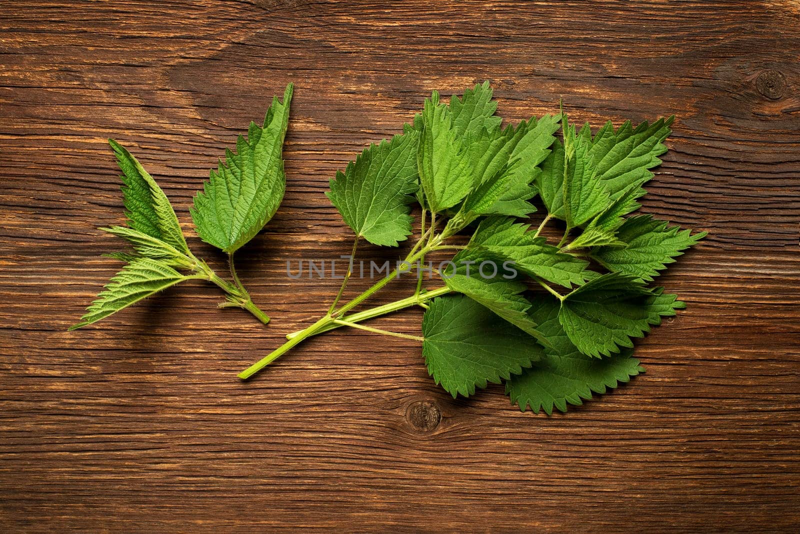 Nettle fresh green leaves on a wooden background.