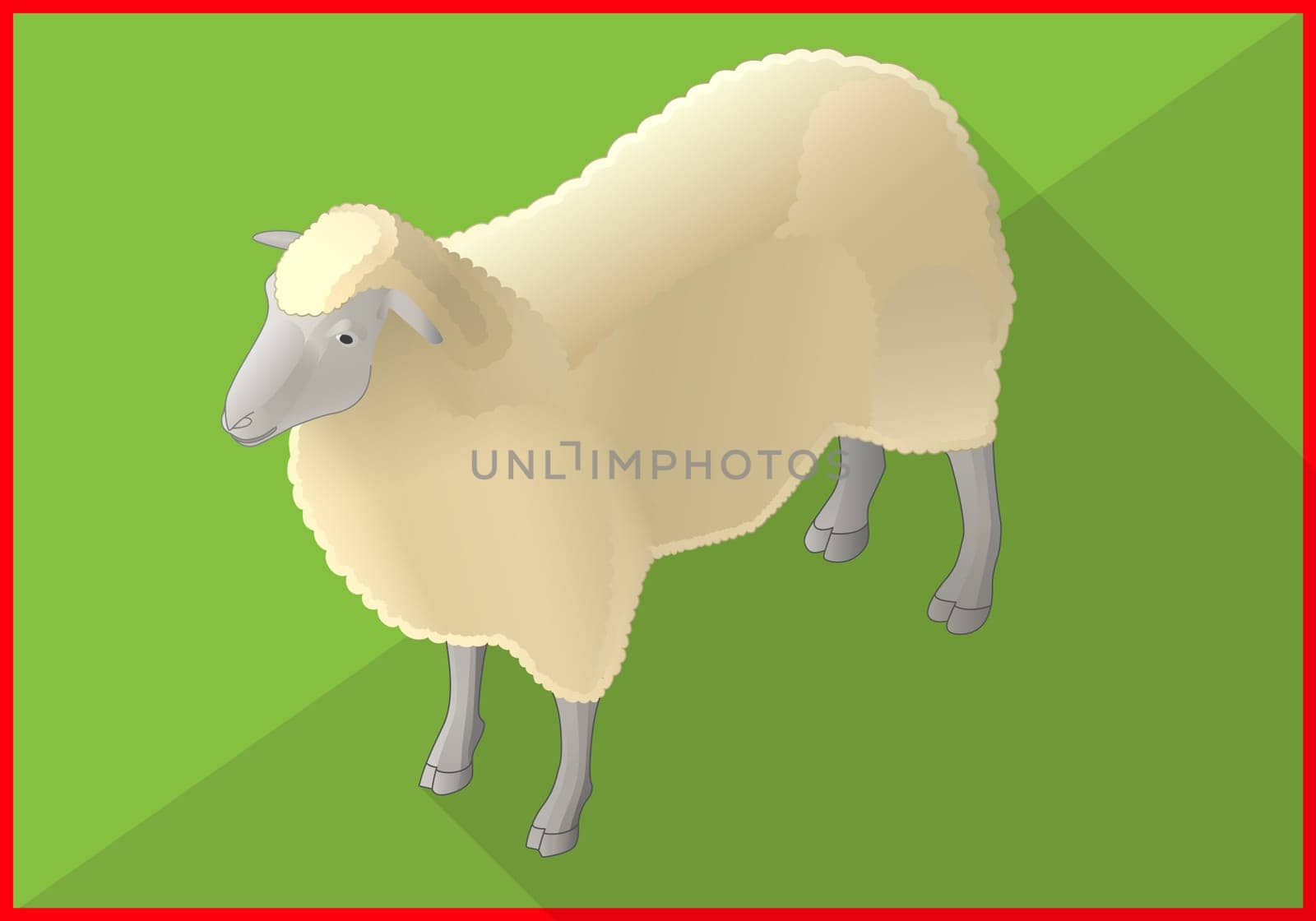Sheep isometric perspective view flat vector 3d illustration