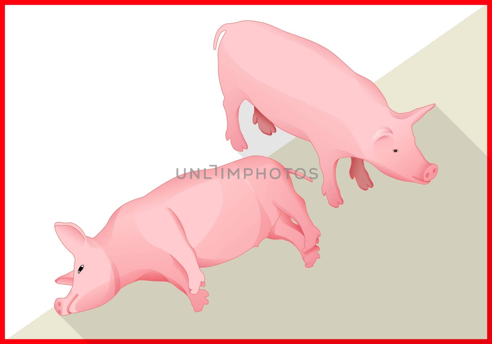 Pig isometric flat vector 3d illustration. Swine icon