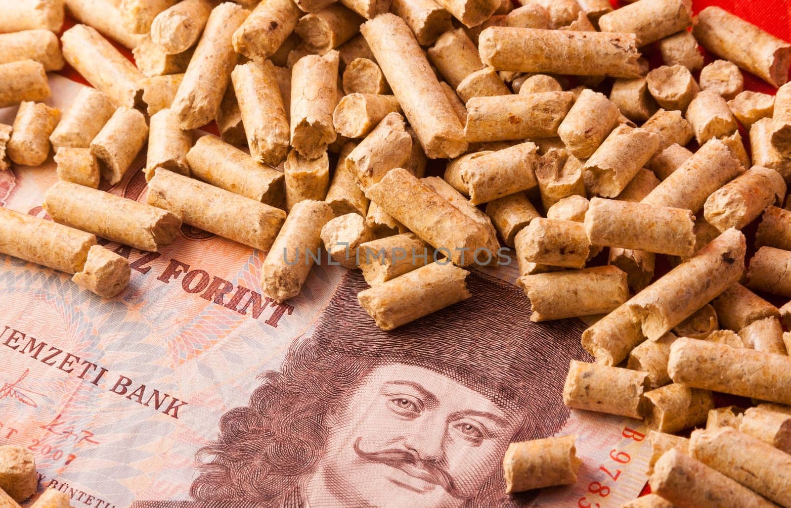 Saving Pellet Hungary Florin