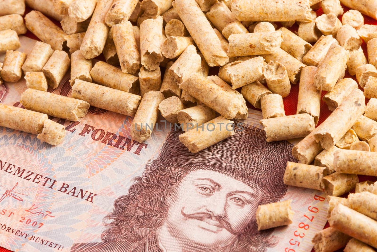 Saving Pellet Hungary Florin