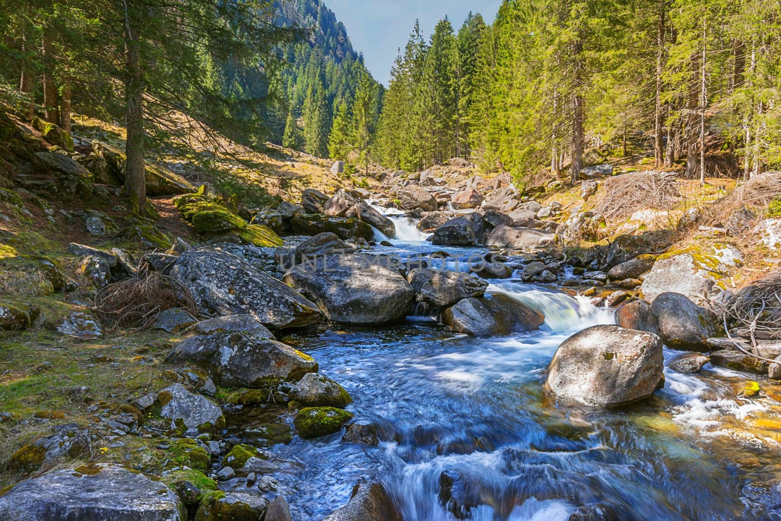 Mountain stream in Val di Campo near Bosco Gurin
