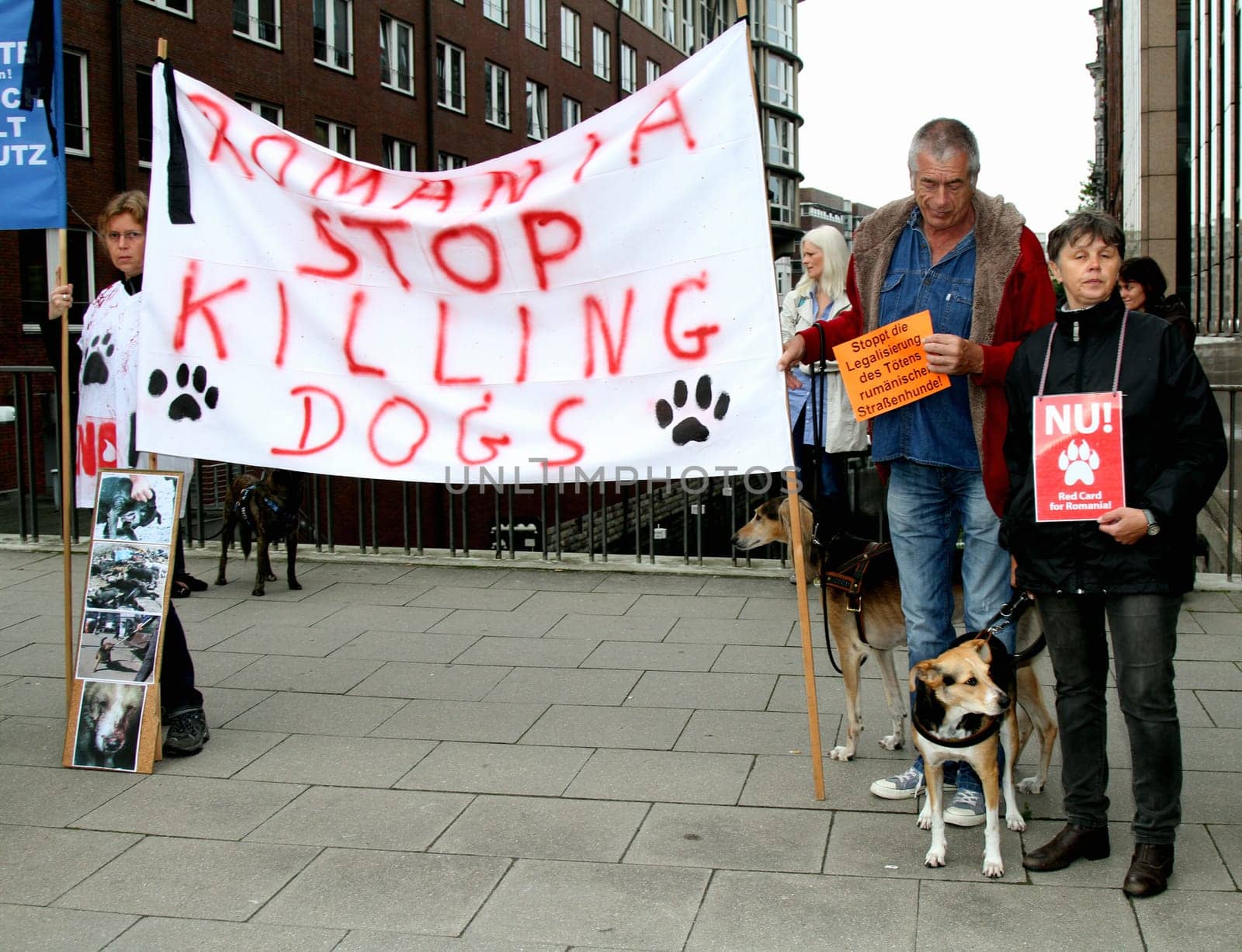 Rally in Hamburg &quot  Stop the legalization of the töoeten of Romanian street dogs ! &quot  The demo was near the Romanian consulate Herrengraben ,BMT made a correction in a special PDF to the net due to the incorrect reporting of the media. http://www.bmt-tierschutz.de/nl/04/newsletter.htmlHamburg,Herrenstrasse