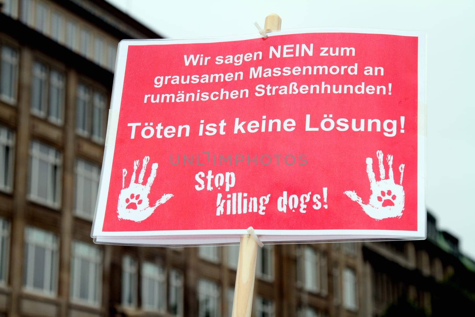 Demonstration and vigil by various animal welfare organisations against the toting of street dogs in Romania at Hamburg Central Station ,05.10.2013