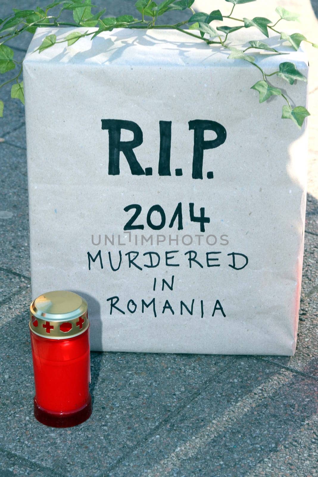 Hamburg - Nationwide demonstrations and vigils in Germany and Staedten in Europe on 08.03.2014 against the toting of the Romanian street dogs