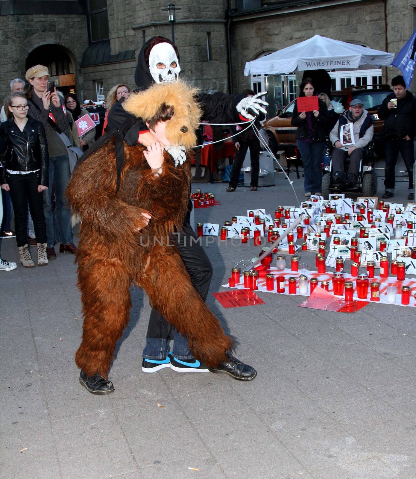 Hamburg - Nationwide demonstrations and vigils in Germany and Staedten in Europe on 08.03.2014 against the toting of the Romanian street dogs
