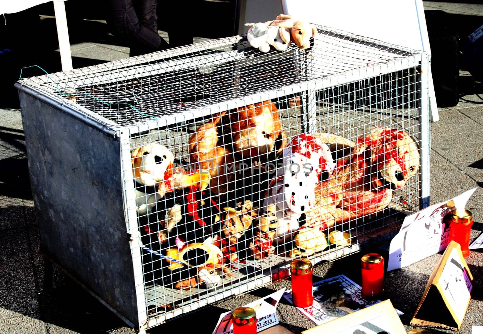 Hamburg - Nationwide demonstrations and vigils in Germany and Staedten in Europe on 08.03.2014 against the toting of the Romanian street dogs