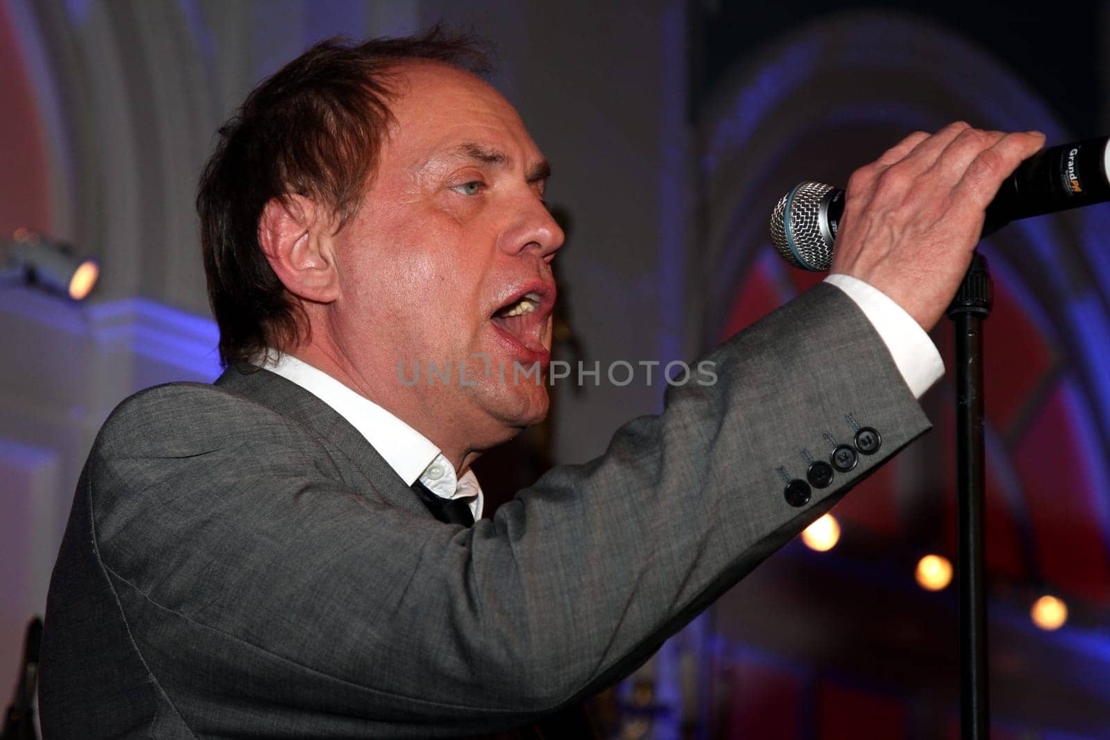 Uwe Ochsenknecht Life at the Press Ball 2014 in Hamburg