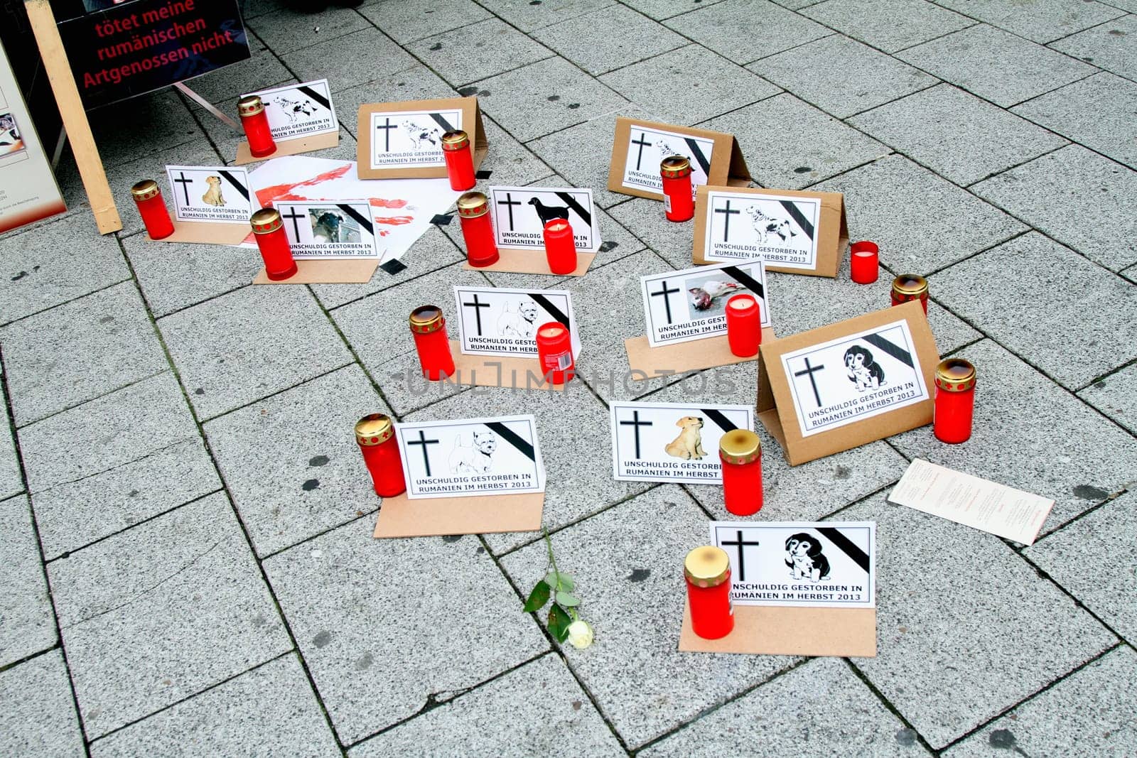 Demonstration and vigil by various animal welfare organisations against the toting of street dogs in Romania at Hamburg Central Station ,05.10.2013