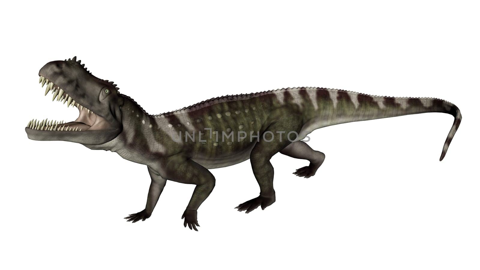 Prestosuchus dinosaur roaring in white background- 3D render