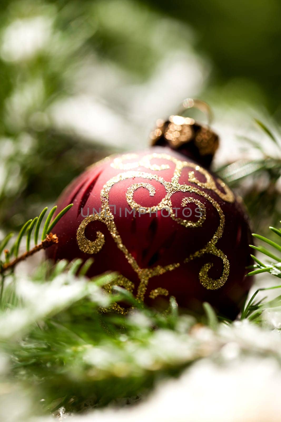 Decoration for Christmas with red and gold Christmas tree balls in front of green fir branches in the background