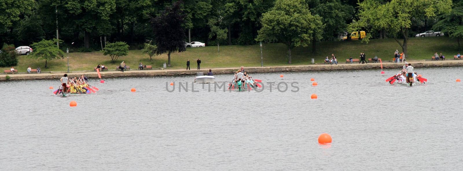 Dragon Boat Cup 2012,Hamburg