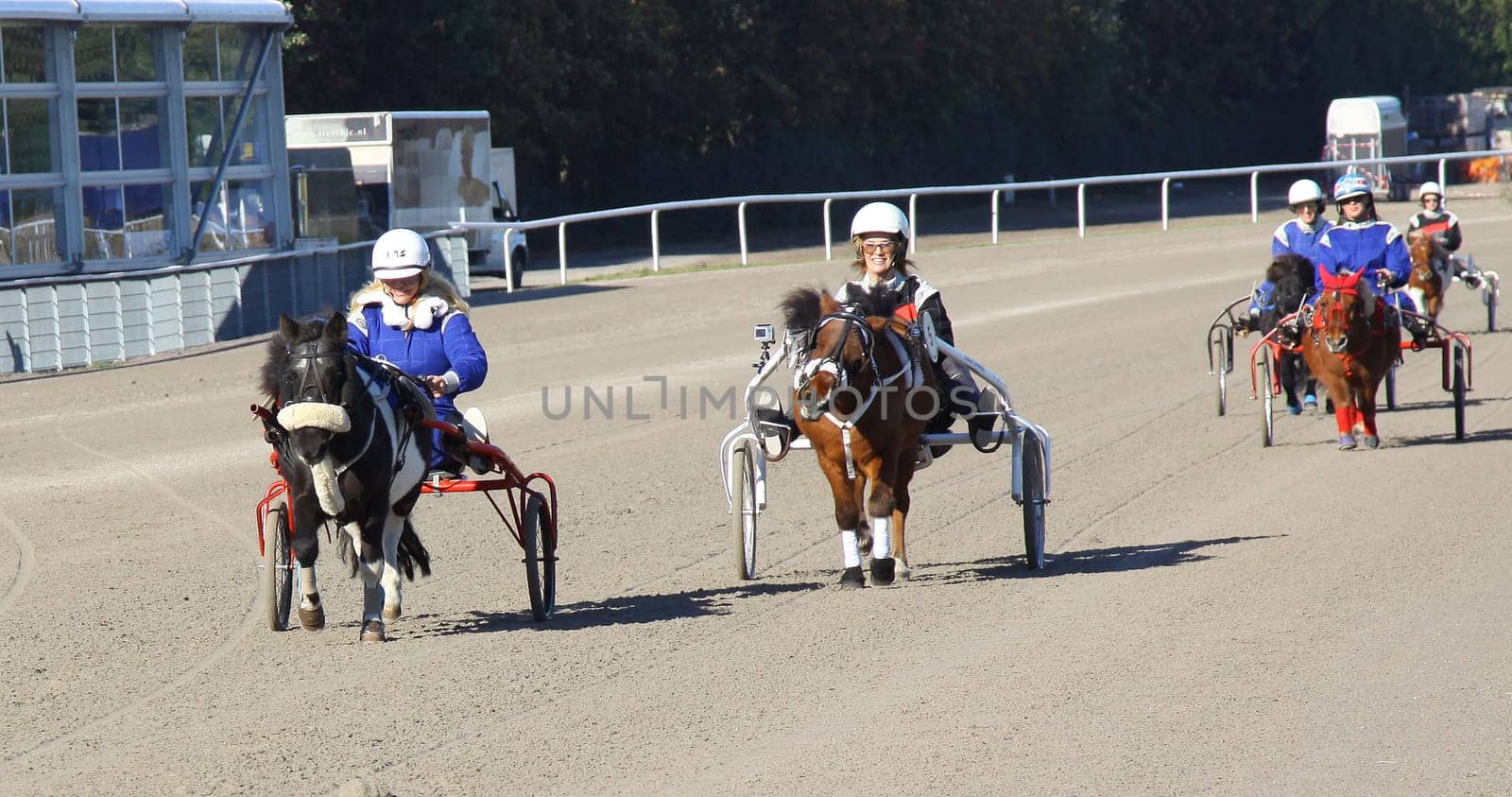 Grand Prix on the Trottbrennbahn: with celebrities on the Trabrennbahn Hamburg - Bahrenfeld on 16.10.2011
