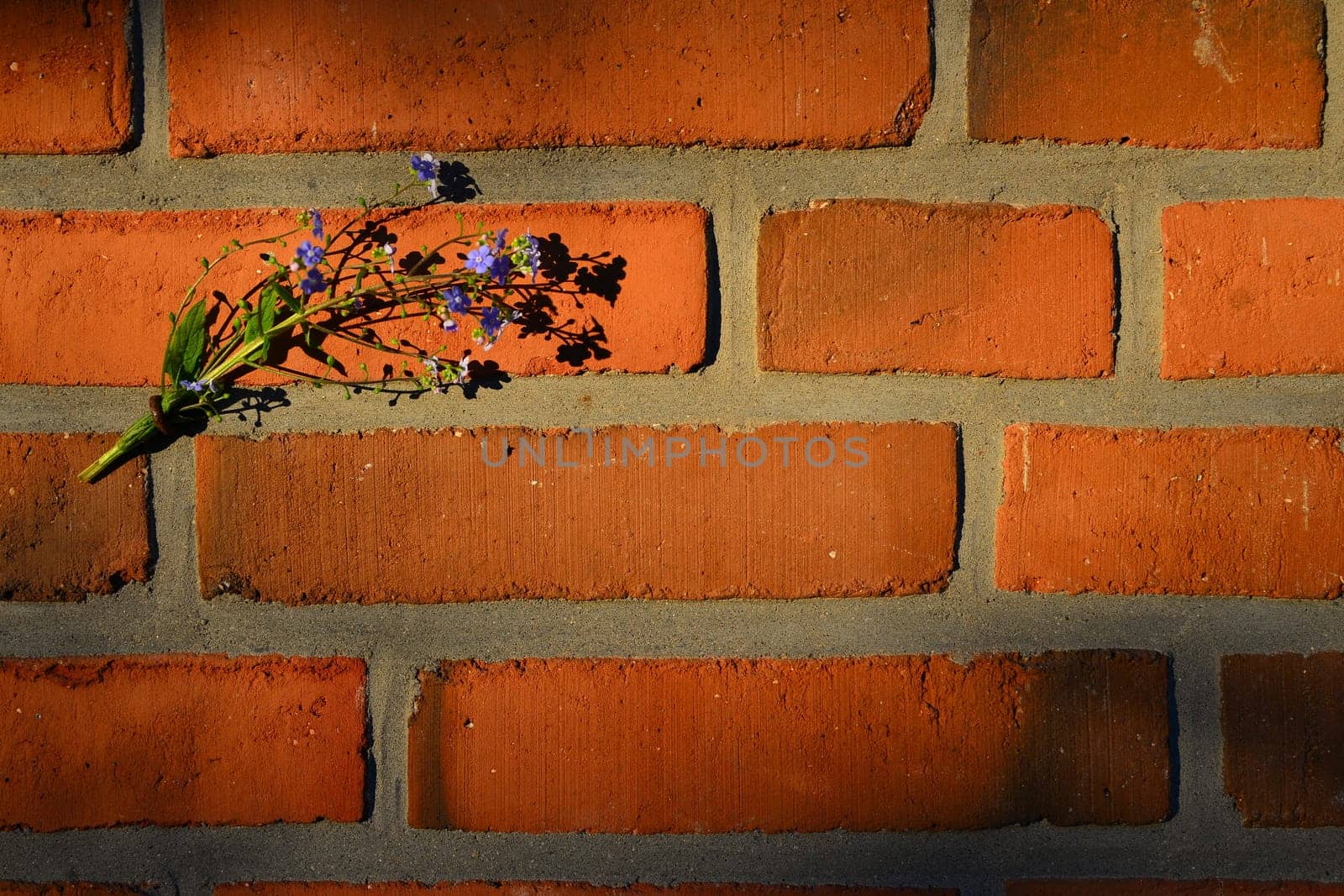 Stone wall background bricks
