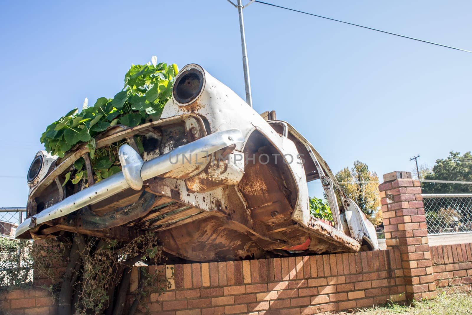 An old car wreck is balanced on the premeter wall by the roadside, and used for garden decoration.