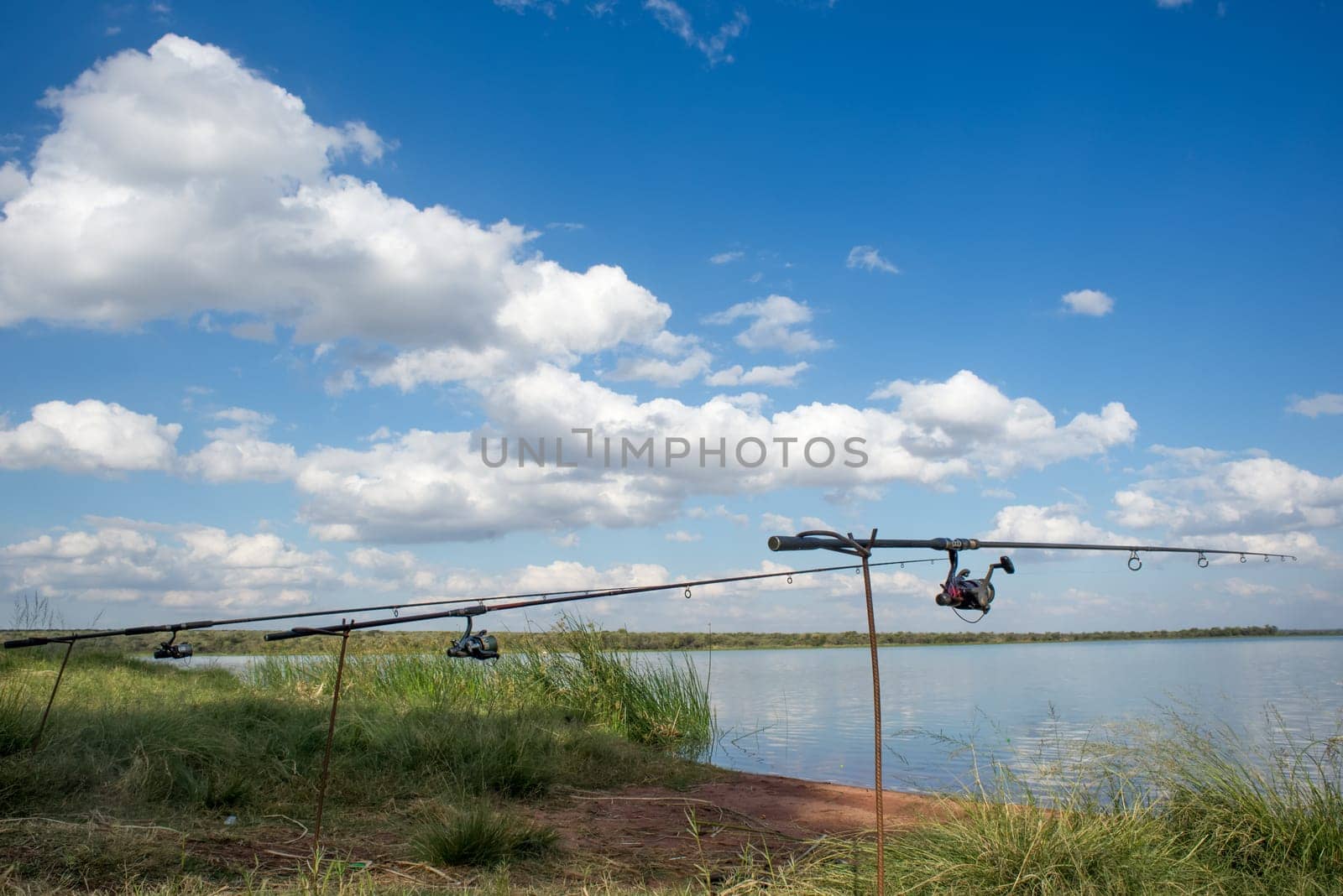 Three fishing rods are set up by the water of a lake or dam among green grass and in front of blue sky and white clouds.