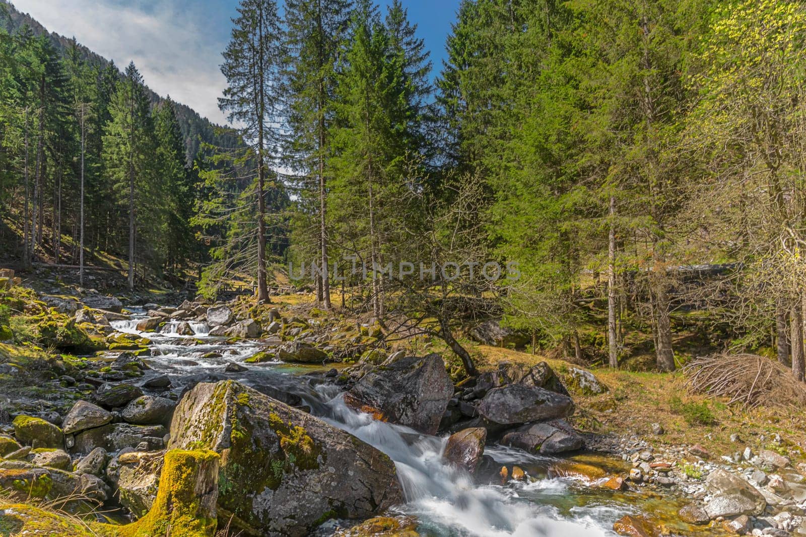 Val di Campo