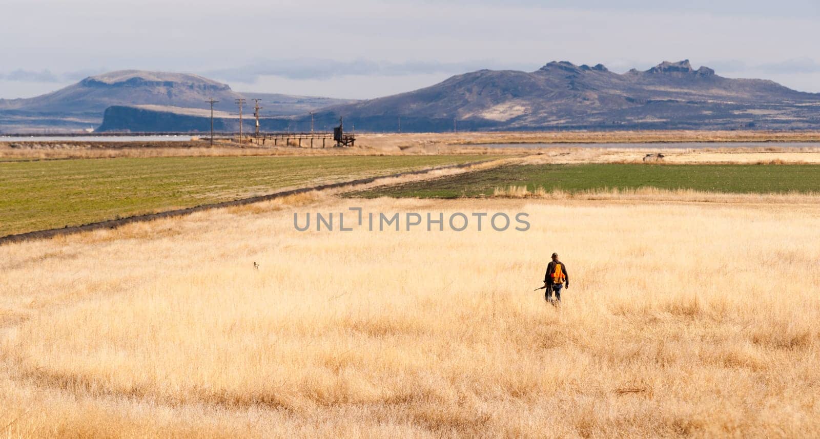 A man wears orange to keep safe during hunting season
