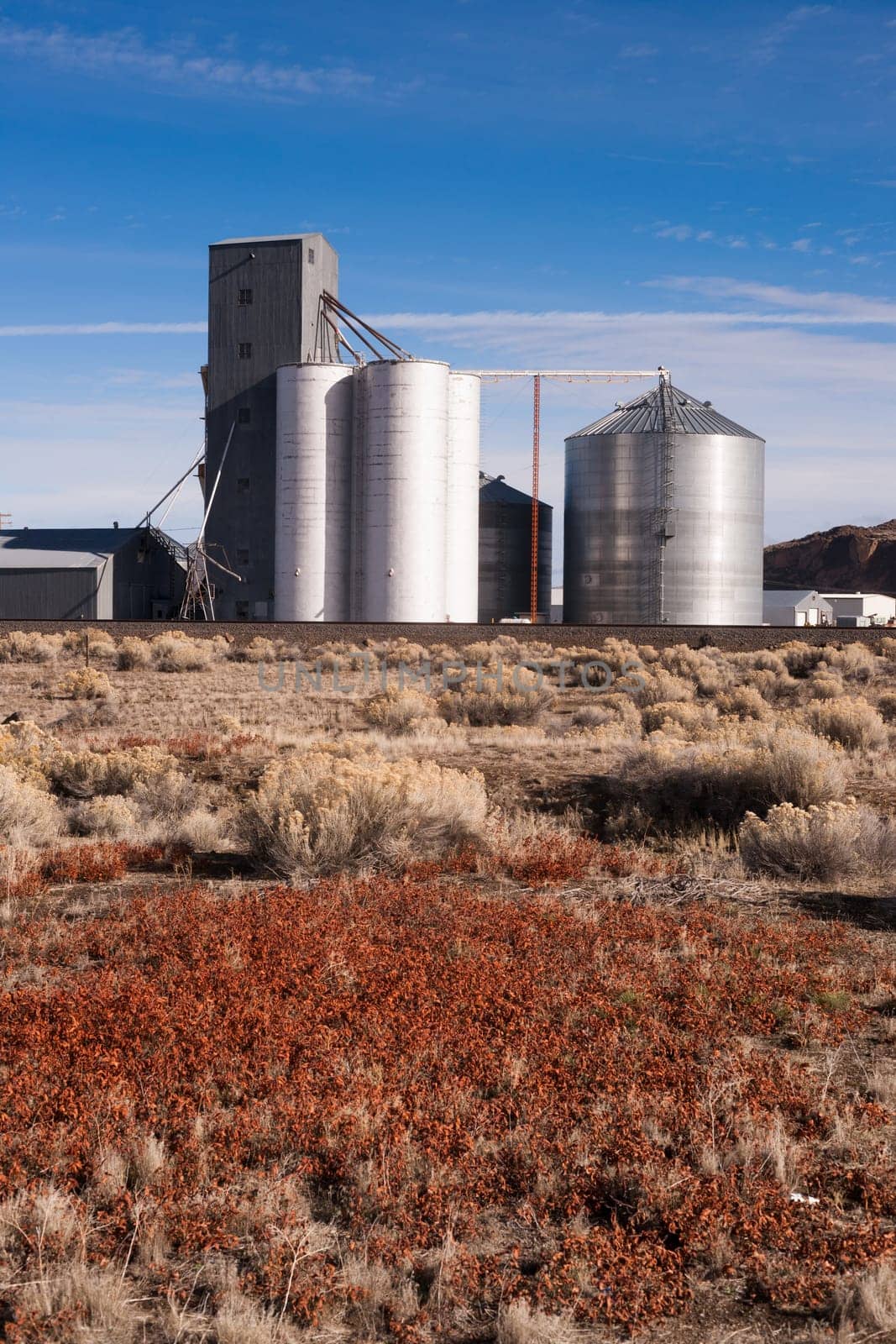 Local agriculture industry loads trucks for shipping
