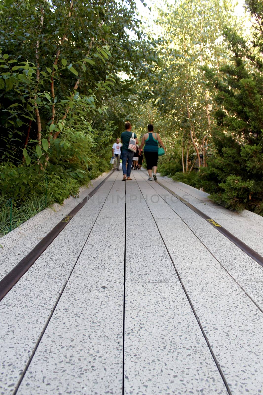 NEW YORK CITY - SEPTEMBER 03: People at High Line Park in NYC on September 03th, 2013. The High Line is a public park built on an historic freight rail line elevated above the streets on Manhattan West Side.