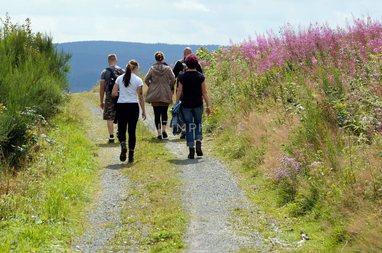 Hike in Sauerland,Neuerade,North Rhine-Westphalia,Germany