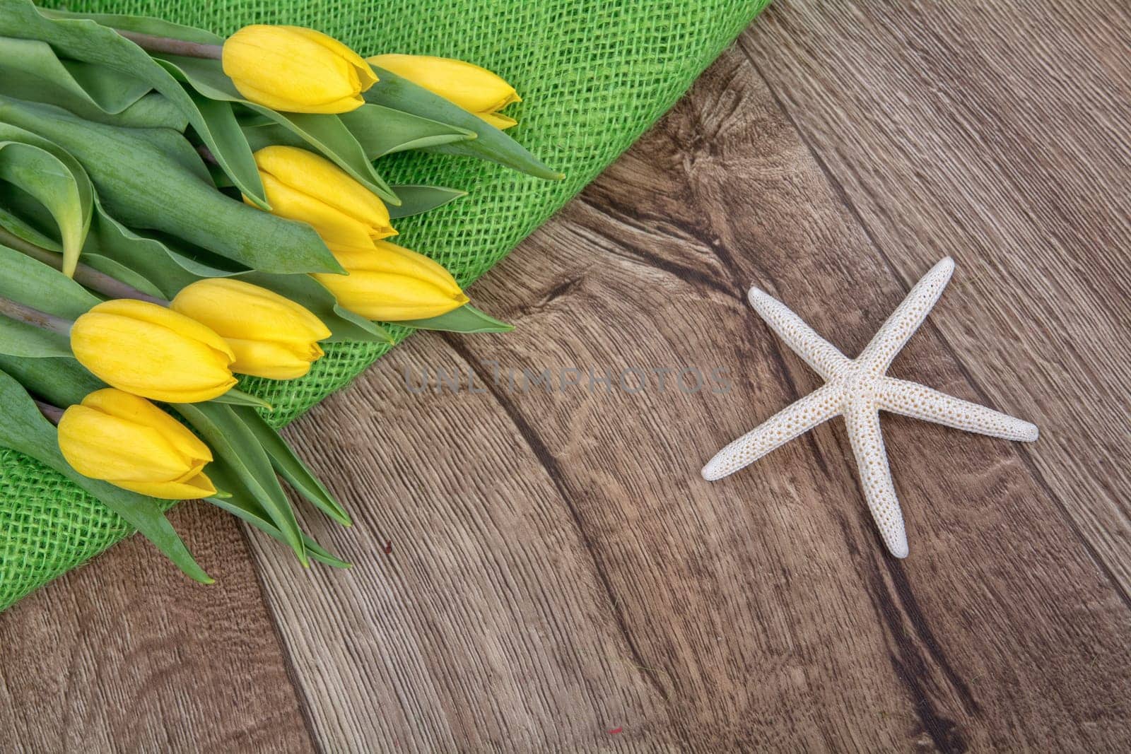 tarfish and yellow tulips on a wooden background