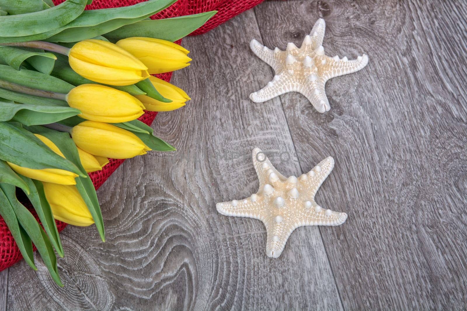 Starfishes and yellow tulips on a wooden background