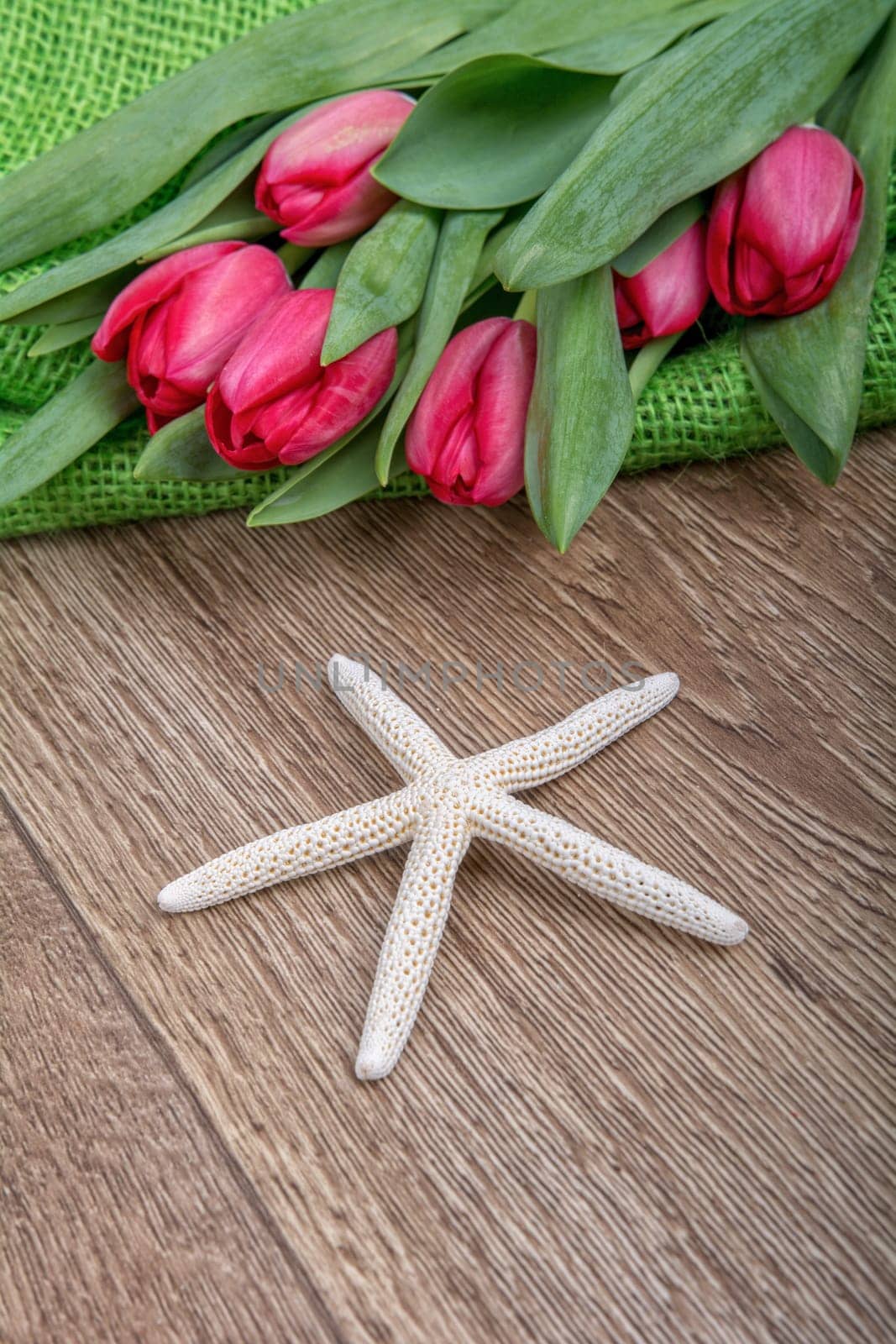 Starfish and red tulips on a wooden background