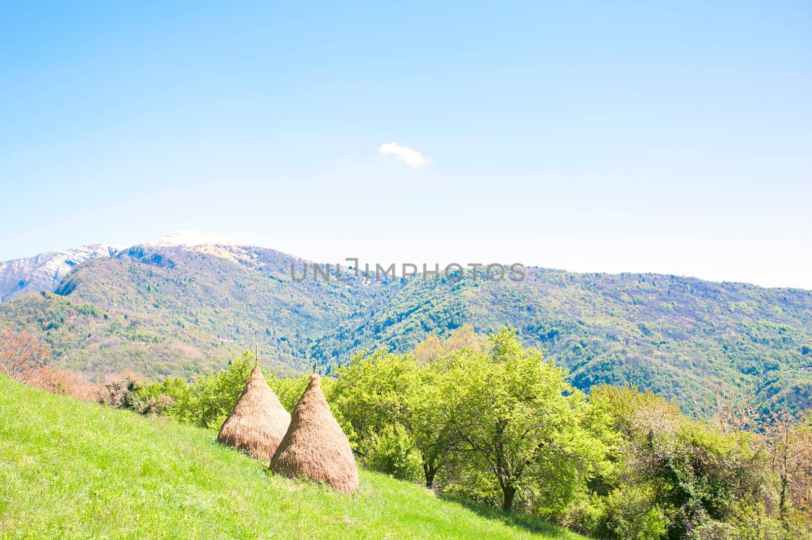 Rural landscape. Traditional haystack of mountain villages in Italian Alps.
