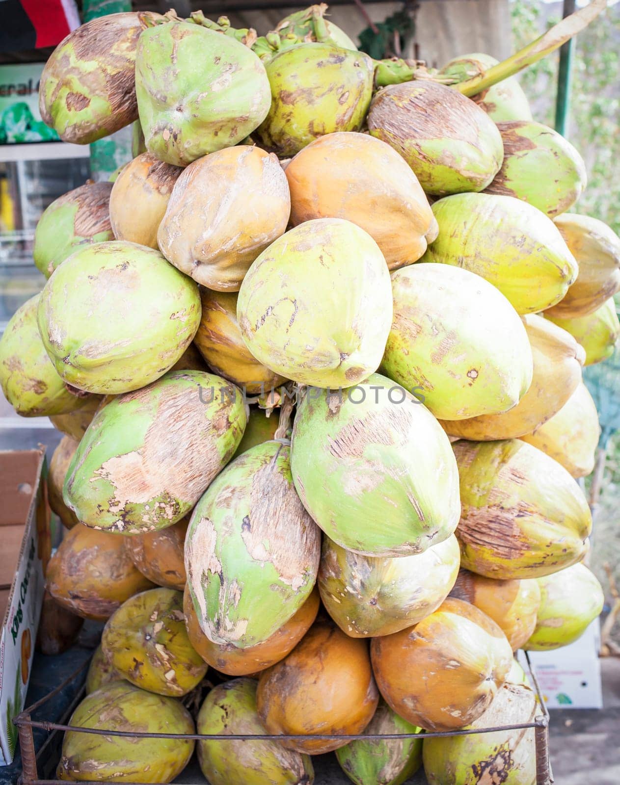 Bunches of coconuts for sale in a market.