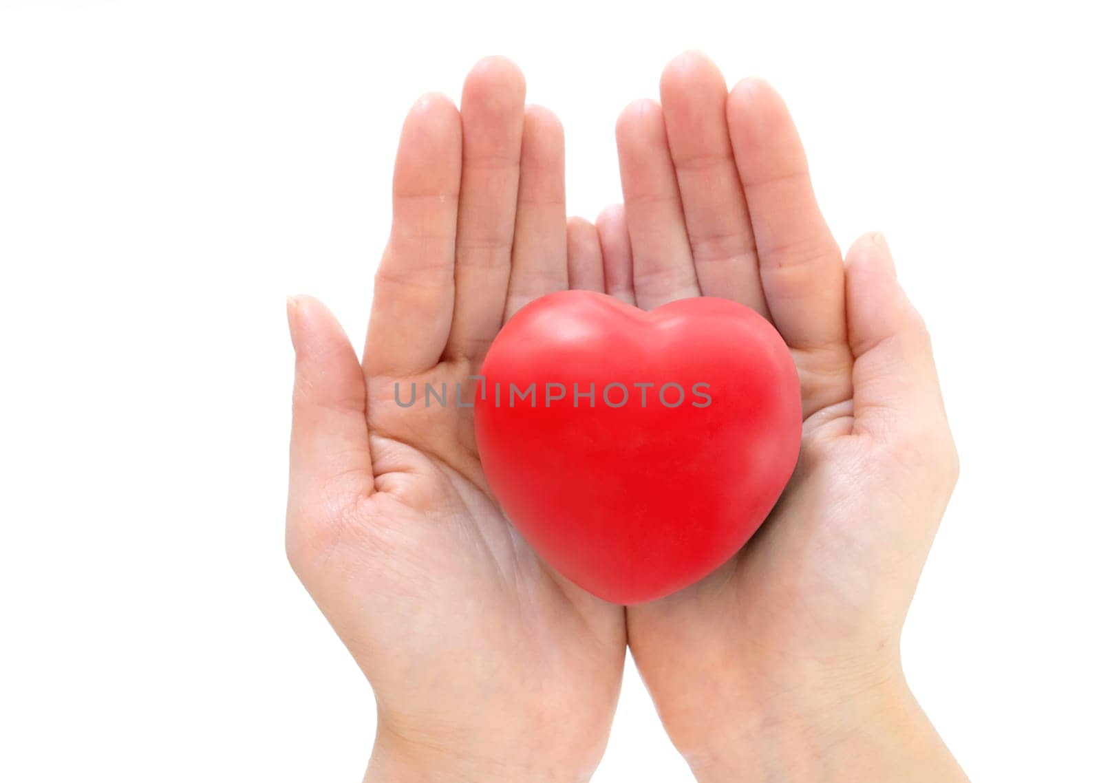 Heart in the hands