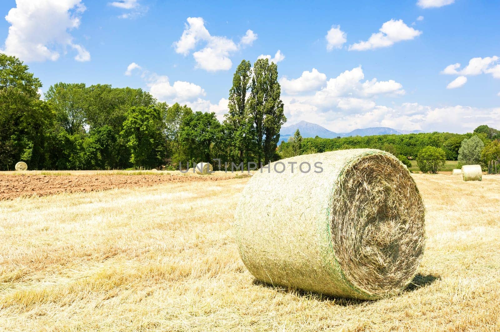 Rural landscape.Harvested field with straw bales in summer.