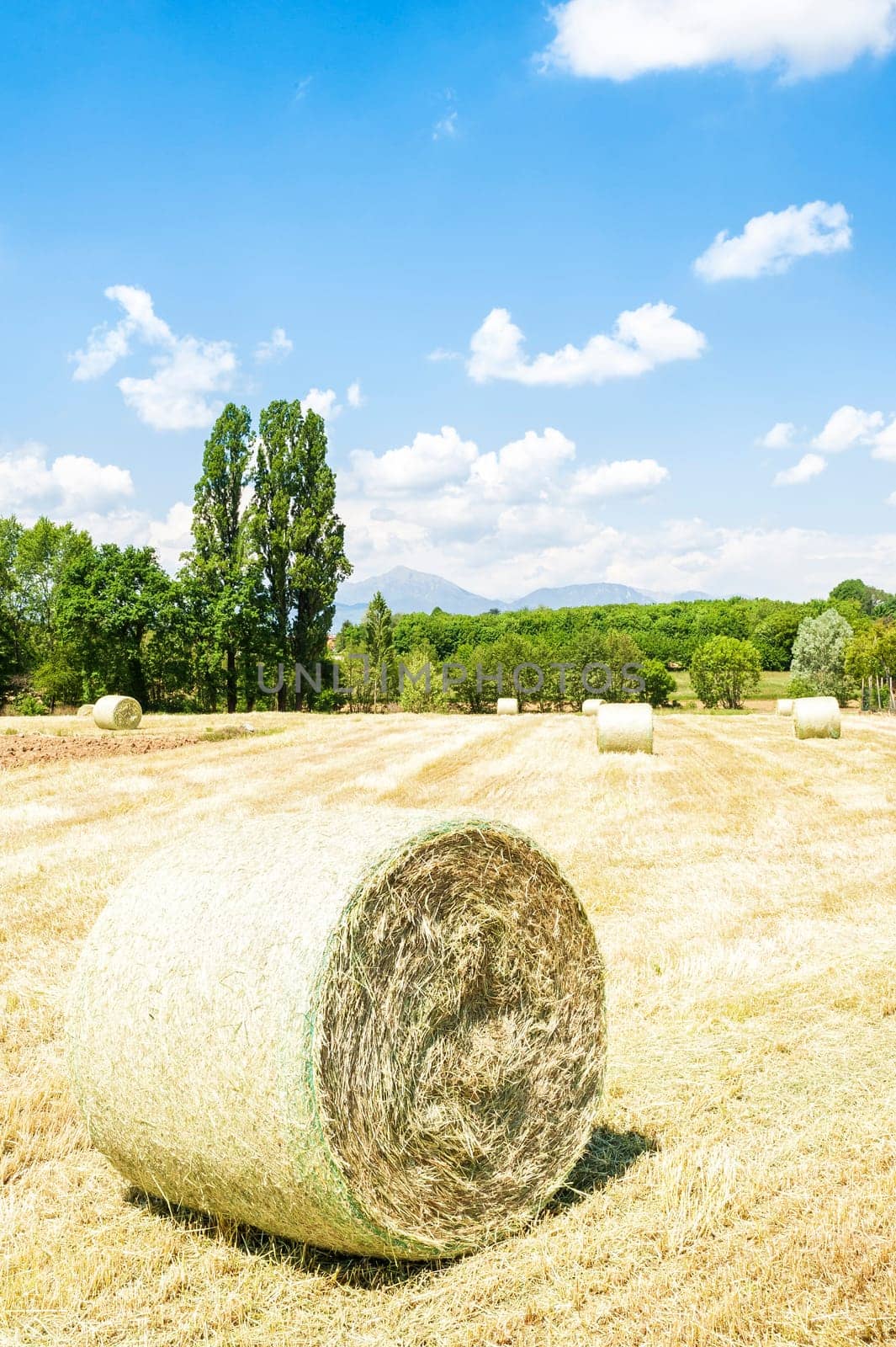 Rural landscape.Harvested field with straw bales in summer.