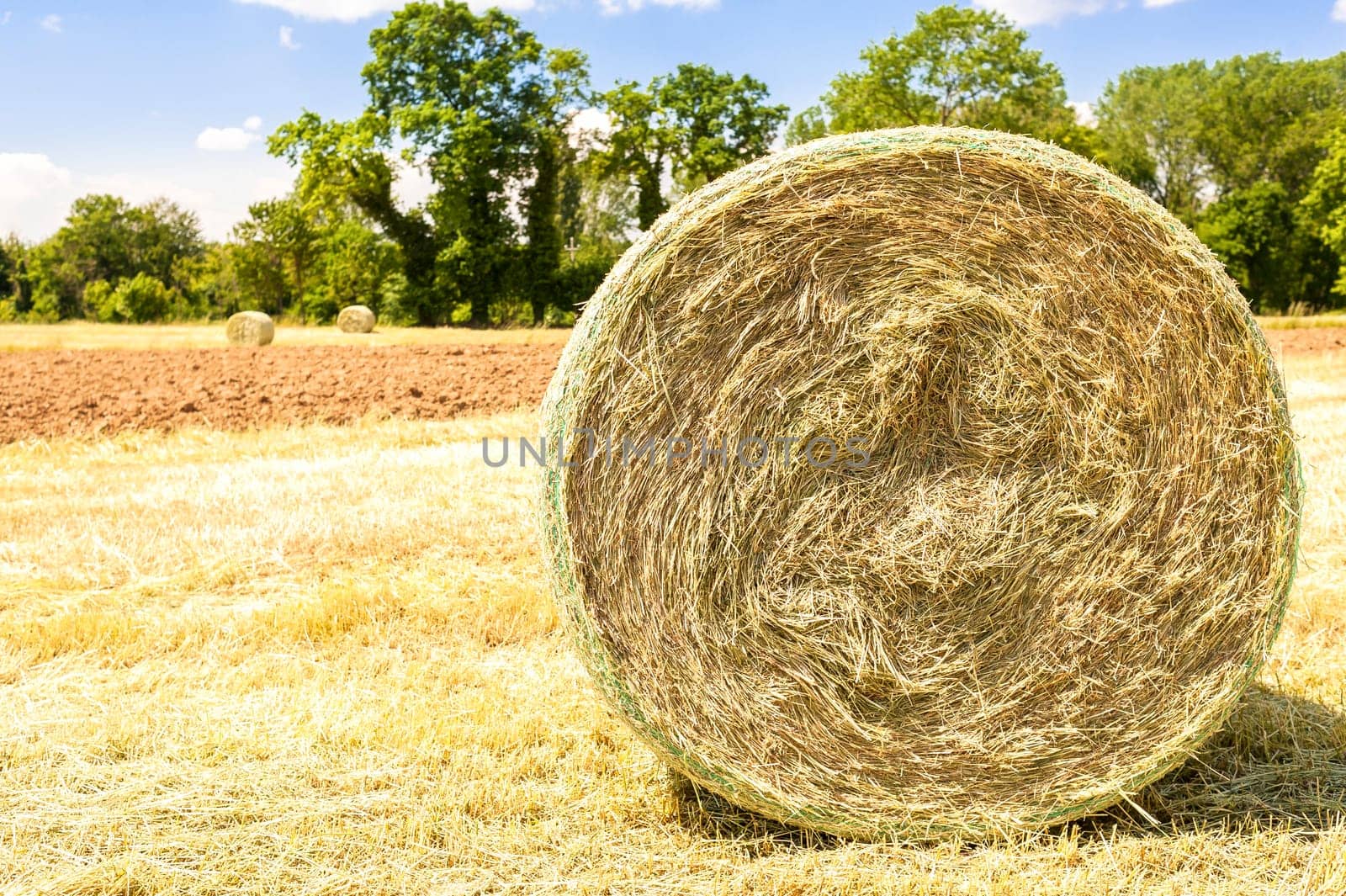 Rural landscape.Harvested field with straw bales in summer.