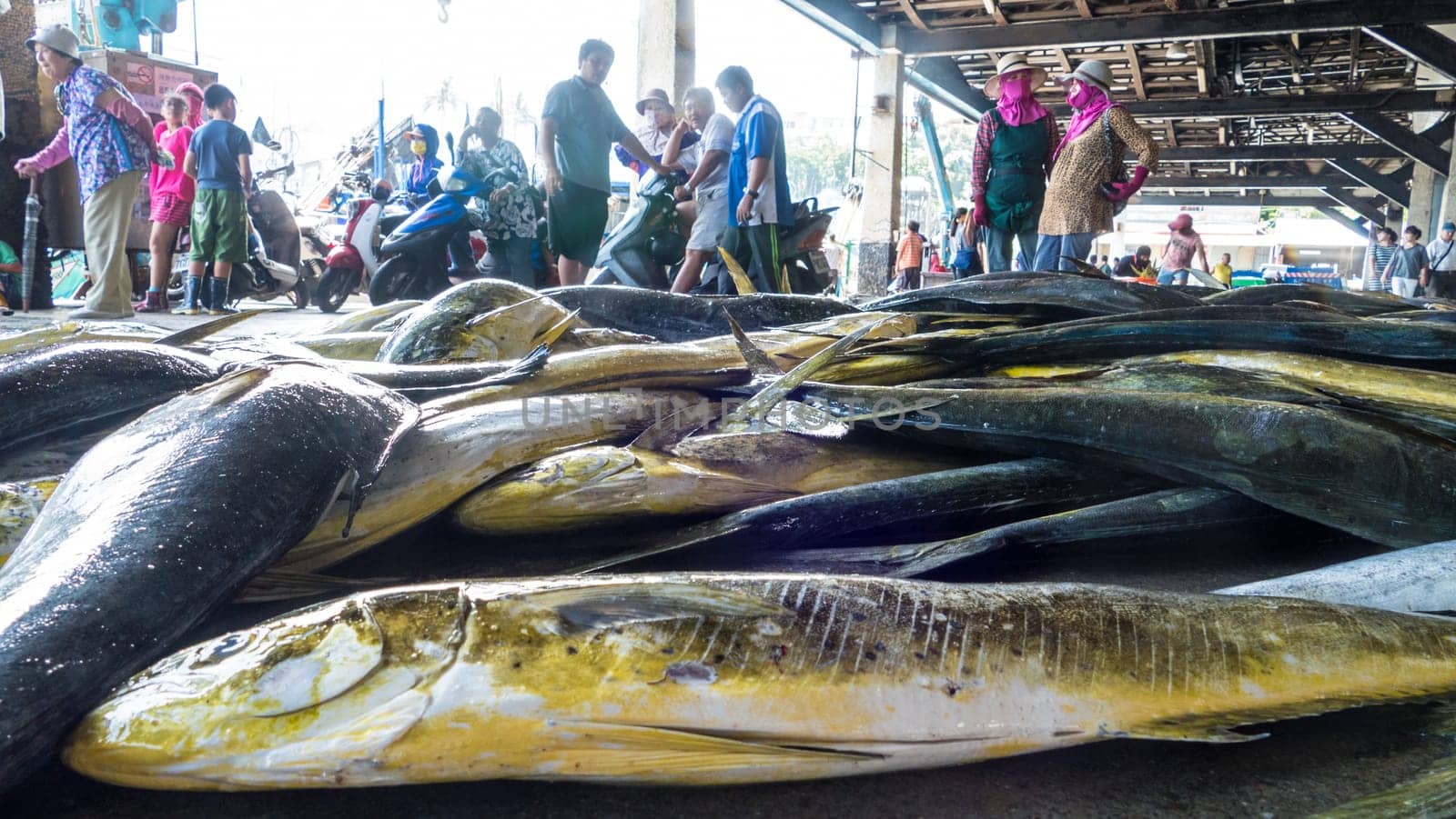 Taitung, Taiwan - May 28, 2016 : Fishing boats docked Chenggong Fishing Harbor remove fishing goods