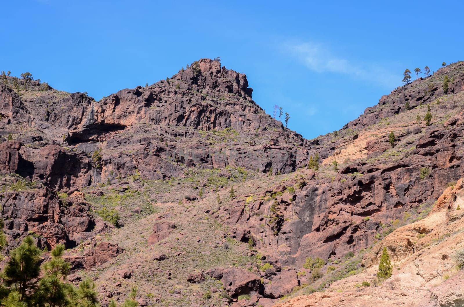 Volcanic Rock Basaltic Formation in Gran Canaria Canary Islands