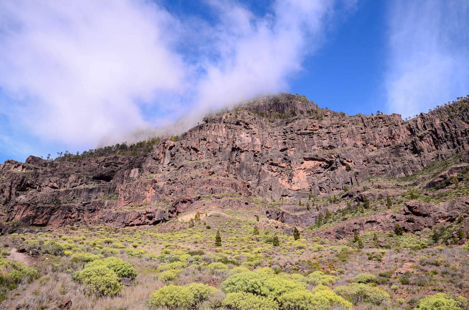 Volcanic Rock Basaltic Formation in Gran Canaria Canary Islands