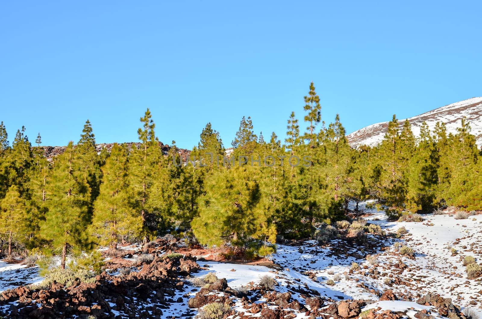 Winter Landscape on the High Mountain Range