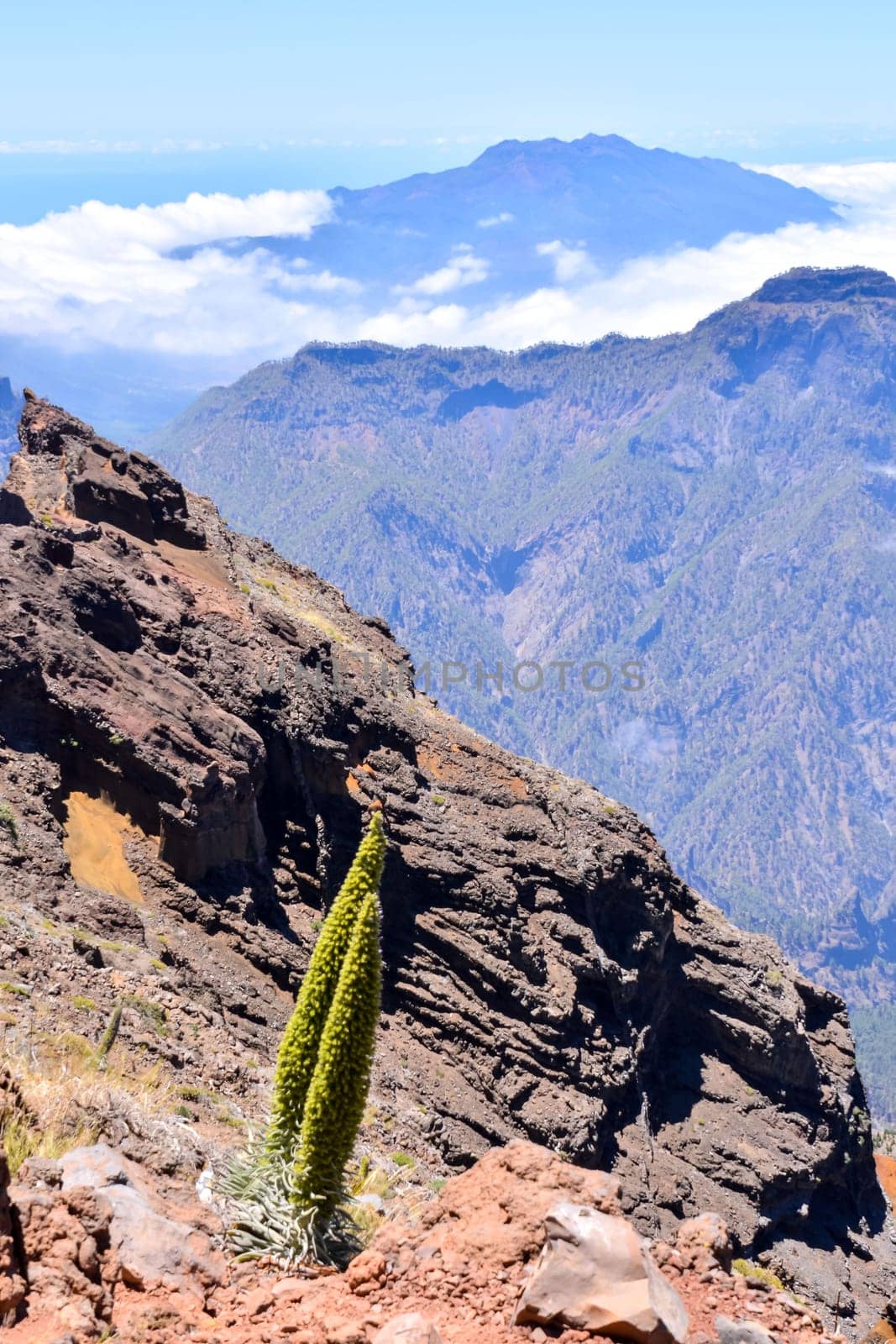 Photo Picture of a Valley in the Canary Islands Roque los Muchachos