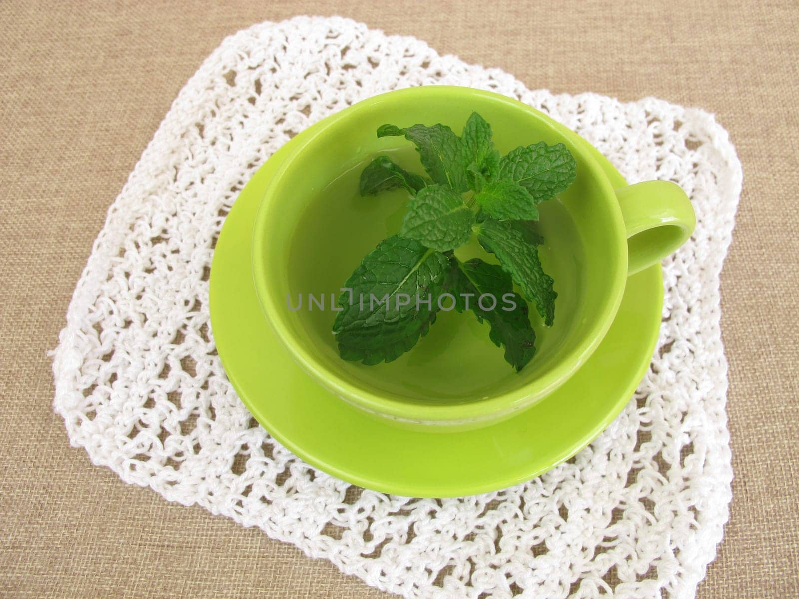 Fresh planted food with mint