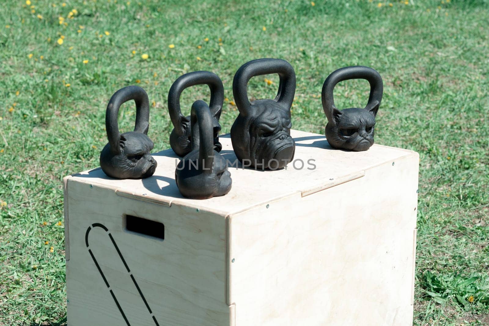 black, shiny iron weights in the form of a dog and cat heads, for weightlifting and fitness on a wooden box, in the open air on a background of green grass, sending. fitness concept