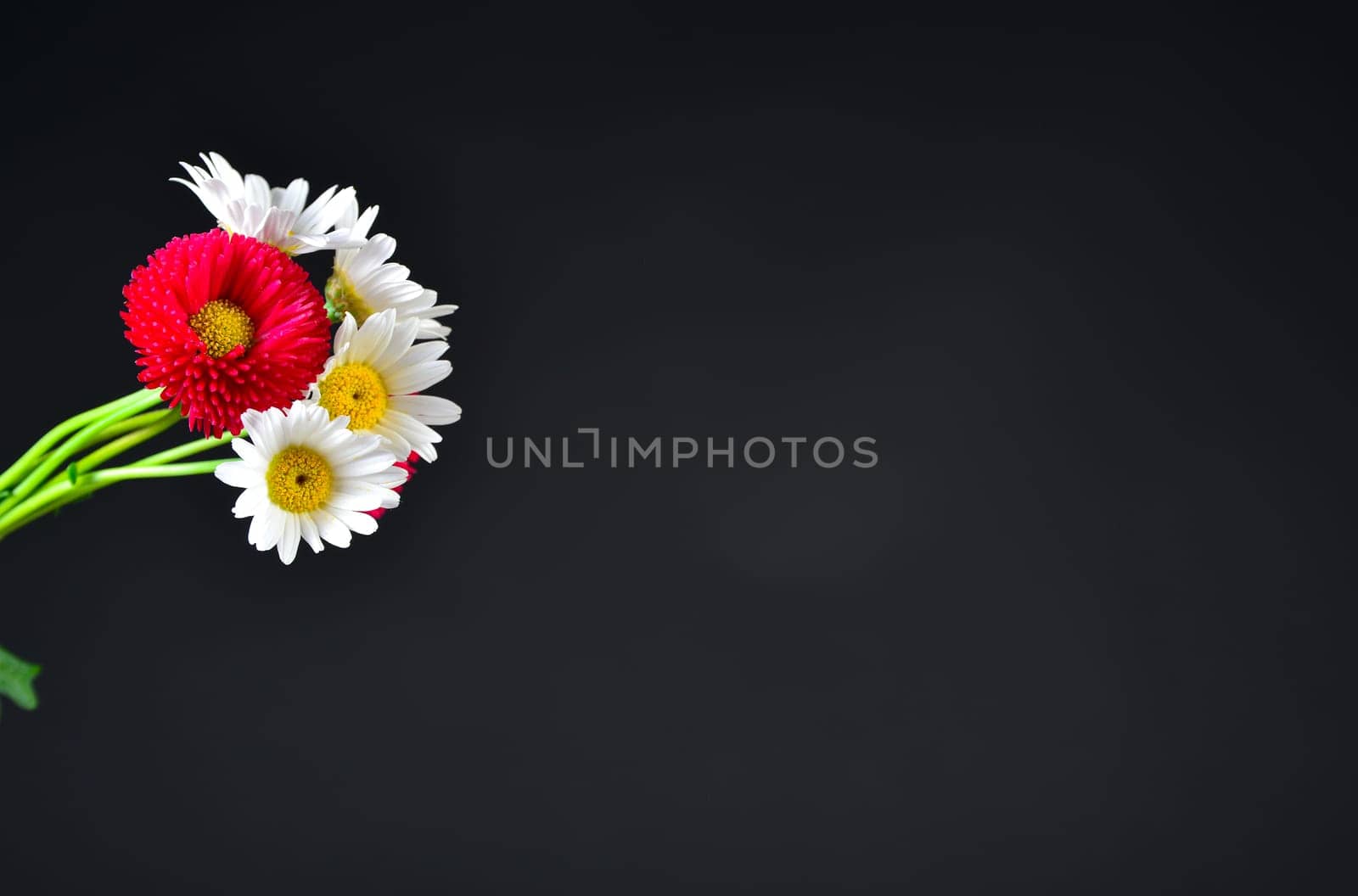 Flowers on a black background