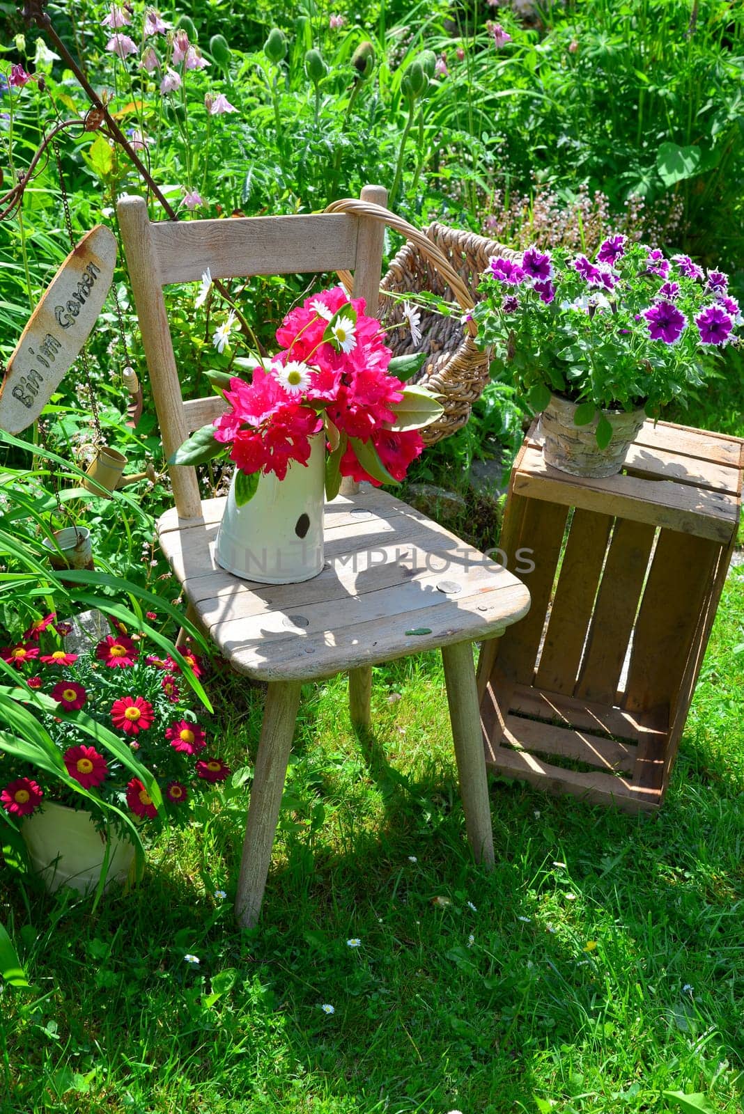 old chair in the garden with flowers in spring
