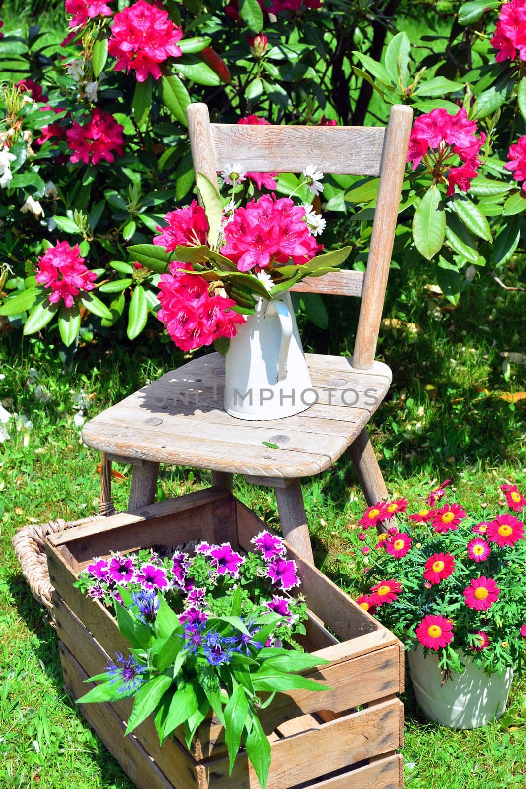 old chair in the garden with flowers in spring