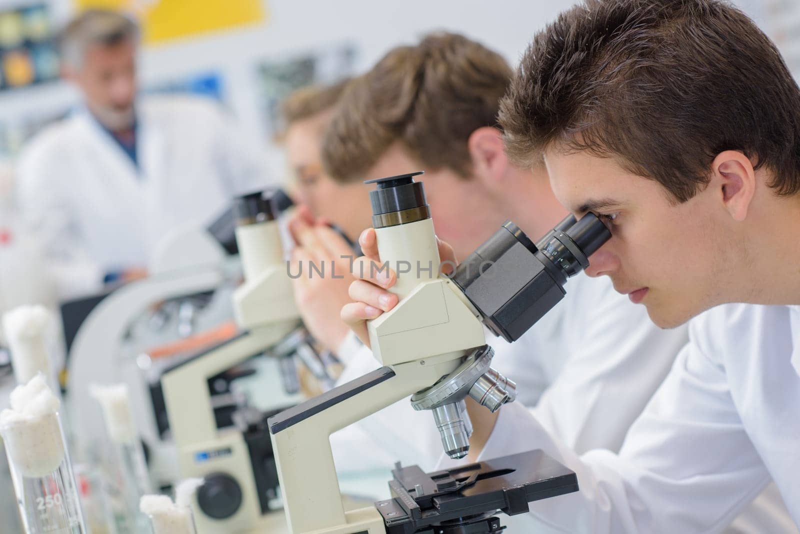Row of students using microscopes