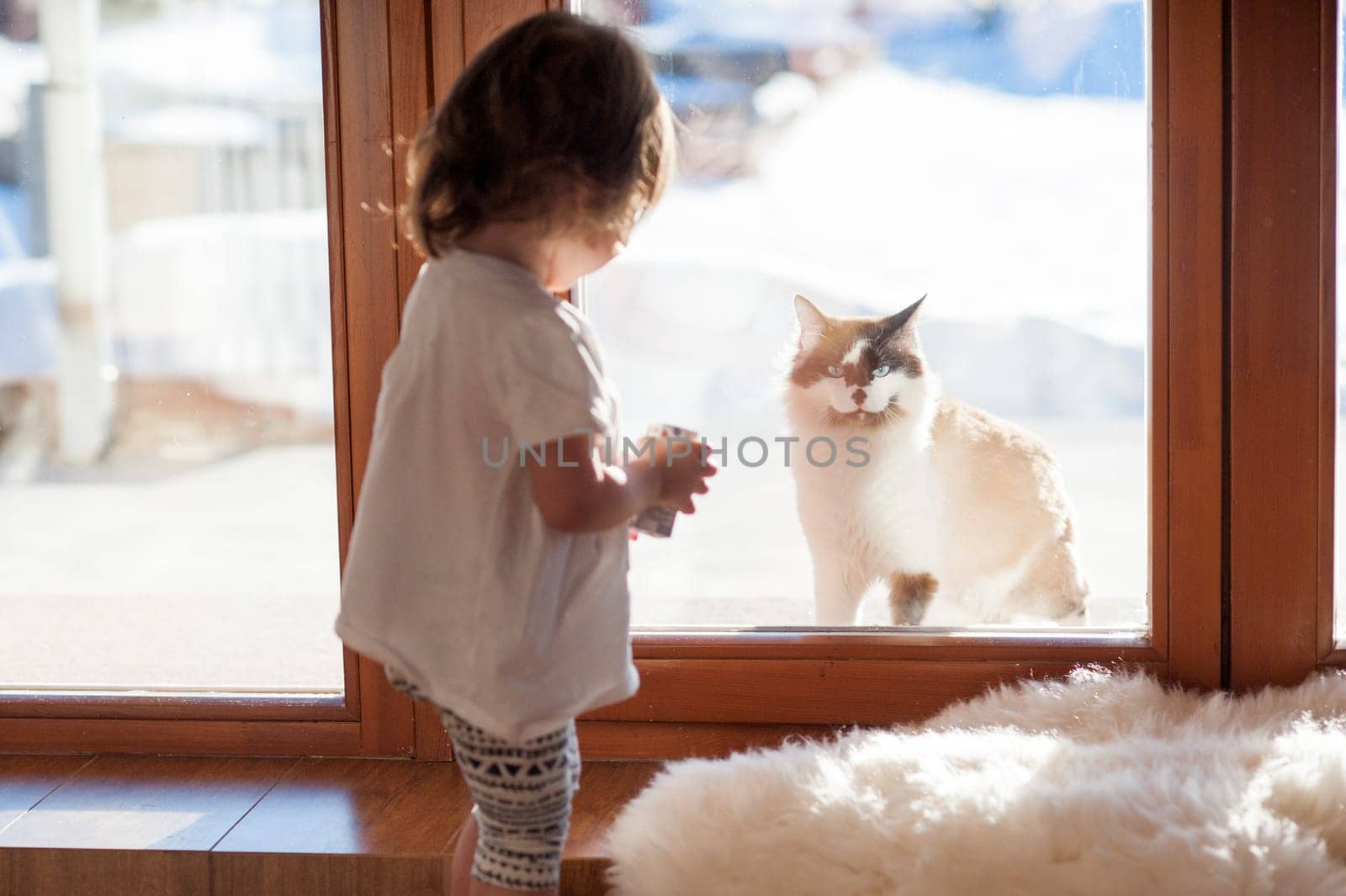 Best friends. The cat and the little girl, looking through a window