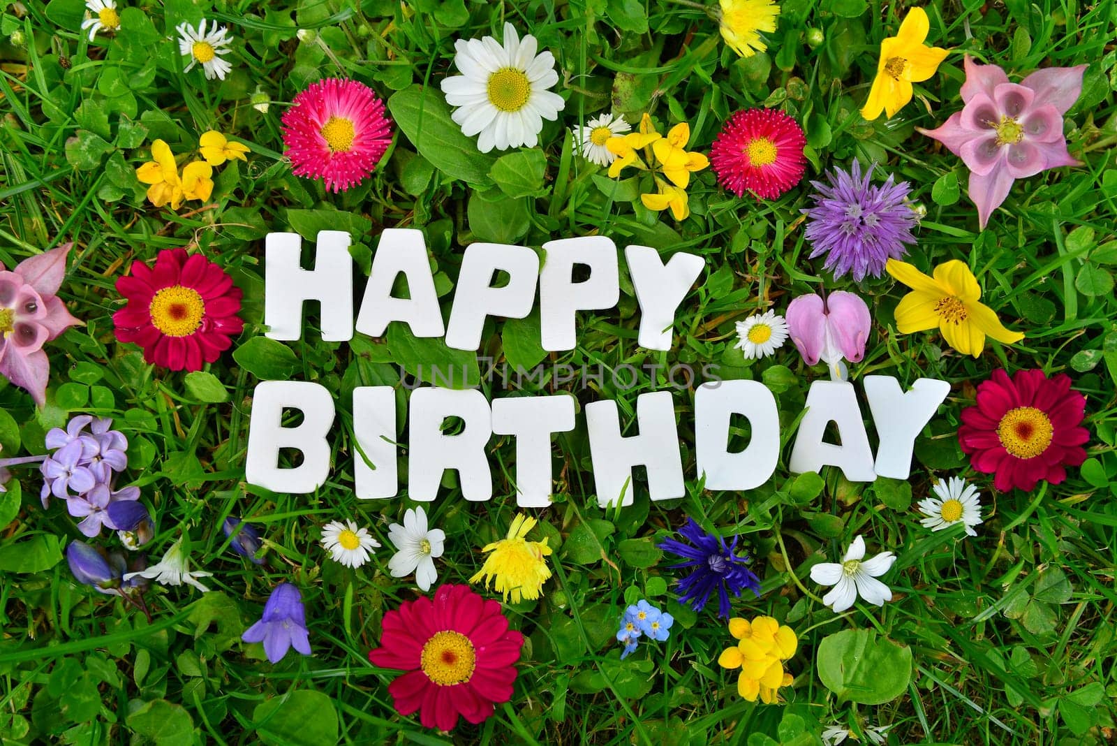 Happy Birthday to You.Text on colorful flower meadow.