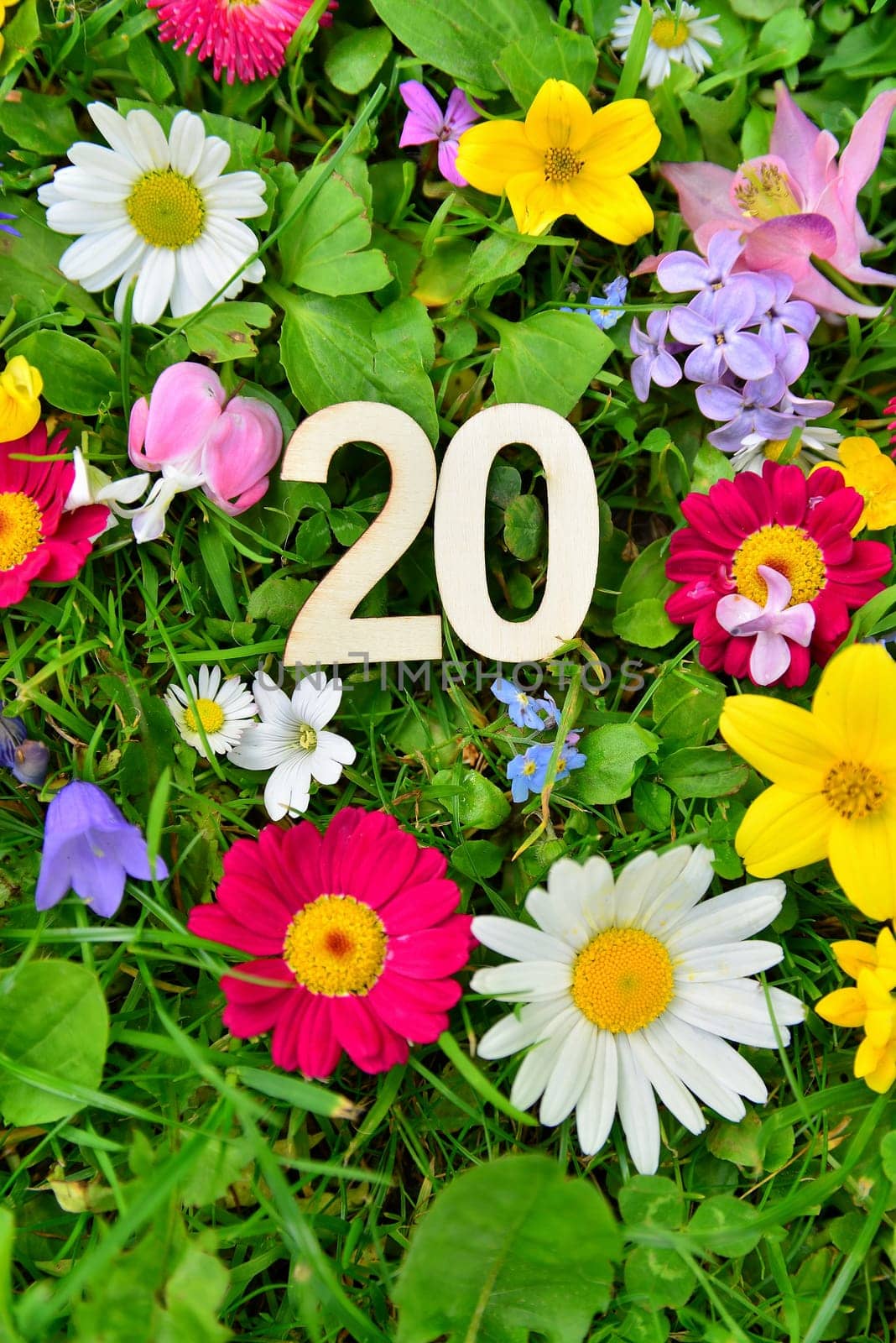 20 birthday number on flower meadow..